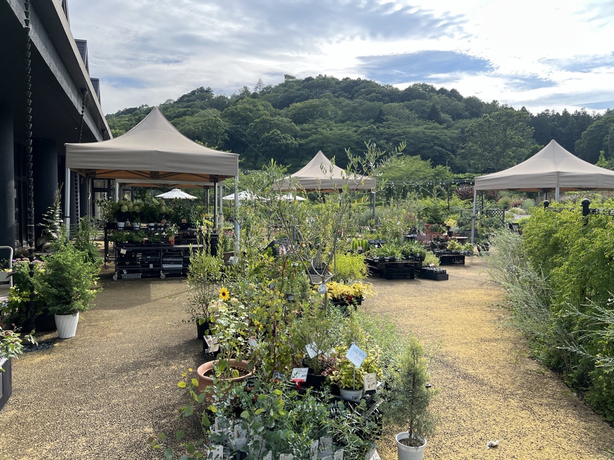 Ibaraki Flower Park seasonal garden