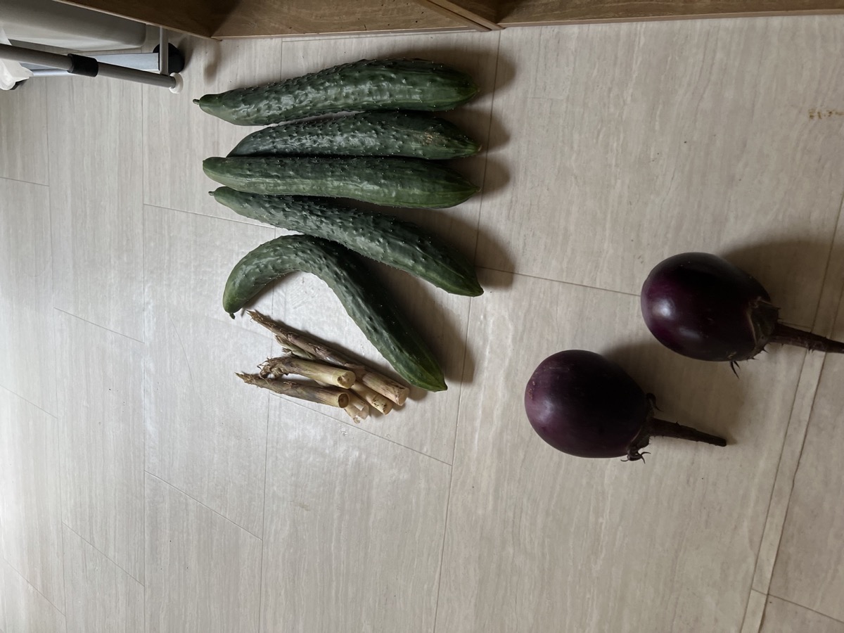 Seasonal vegetables in Tojo-ji garden